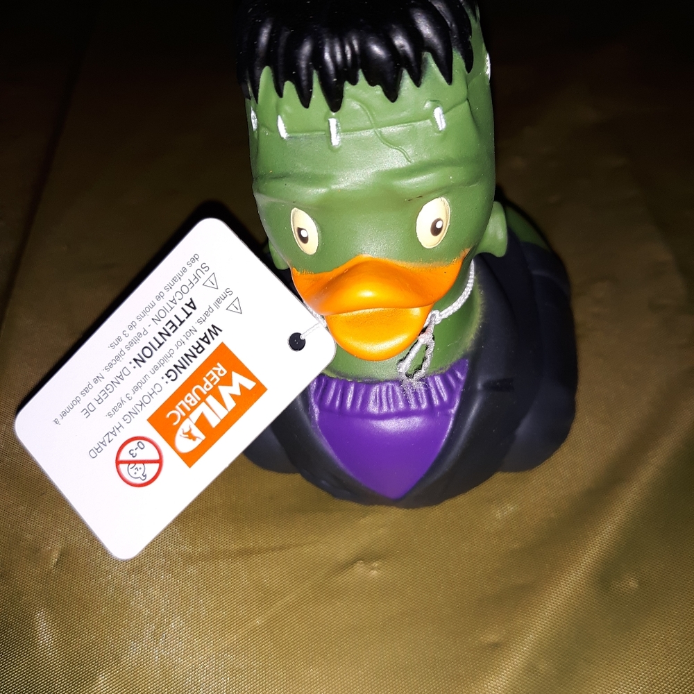 Wild Republic- Rubber Ducks- Frankenstein 4 inch